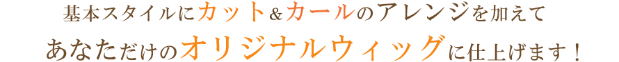お気に入りの医療用かつらが見つかります