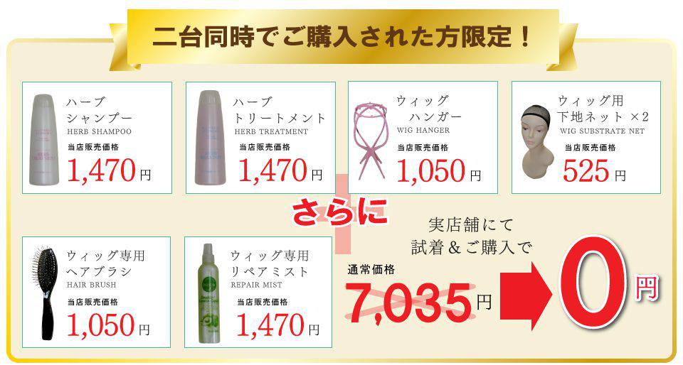 さらに二台同時購入でプレゼント
