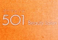 501 Bearty Salon