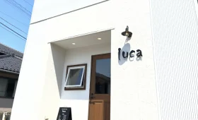 luca hair＆medical wig