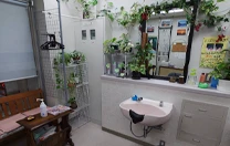 【岩手県立大船渡病院】HAIR AVENUE 海岸通り