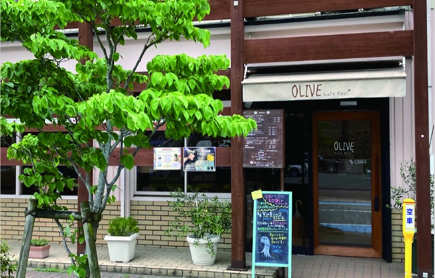 オリーブヘアーフィール