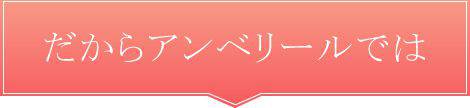 だからアンベリールでは