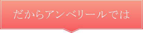 だからアンベリールでは