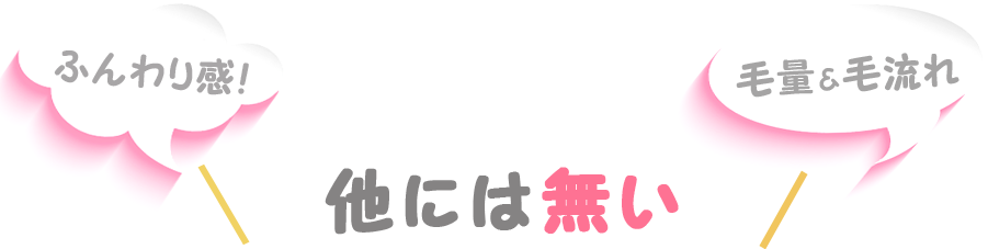 他にはない