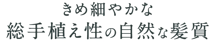きめ細やかな総手植え性の自然な髪質｜医療用ウィッグのアンベリール