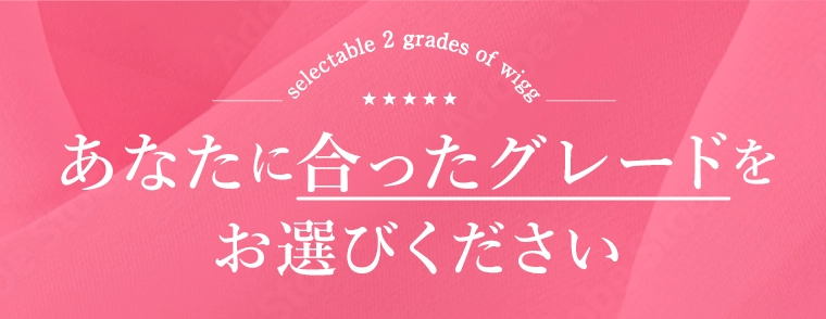 自由に選べる2つグレード
