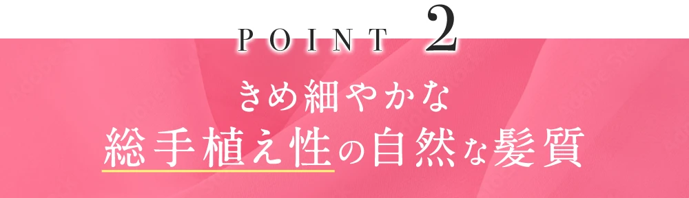 きめ細やかな総手植え性の自然な髪質