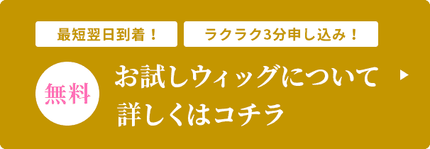 最短翌日到着！ラクラク3分申し込み！無料お試しウィッグについて詳しくはコチラ