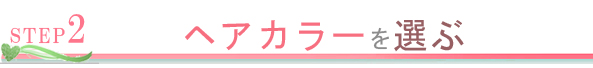 ２．ヘアカラーを選択