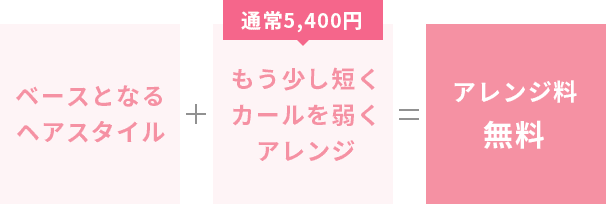 アンベリールの医療用ウィッグの特徴